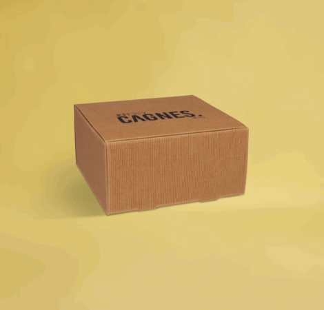 Boîte en carton ondulé personnalisée, résistante et légère, idéale pour l’emballage et le transport sécurisé de produits variés.
