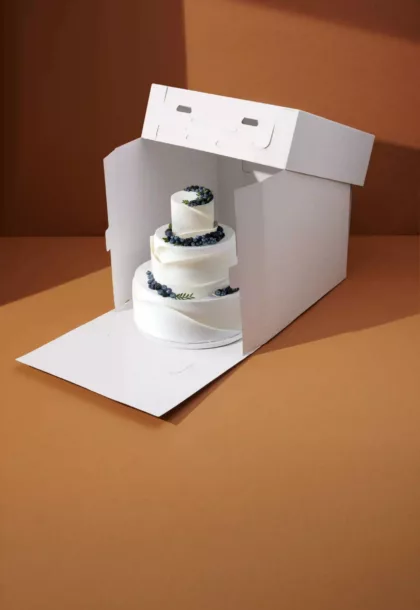 boite wedding cake et grand gateau